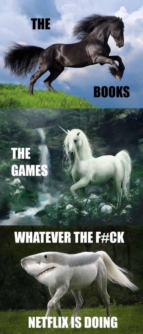THE BOOKS THE GAMES WHATEVER THE F##CK NETFLIX IS DOING