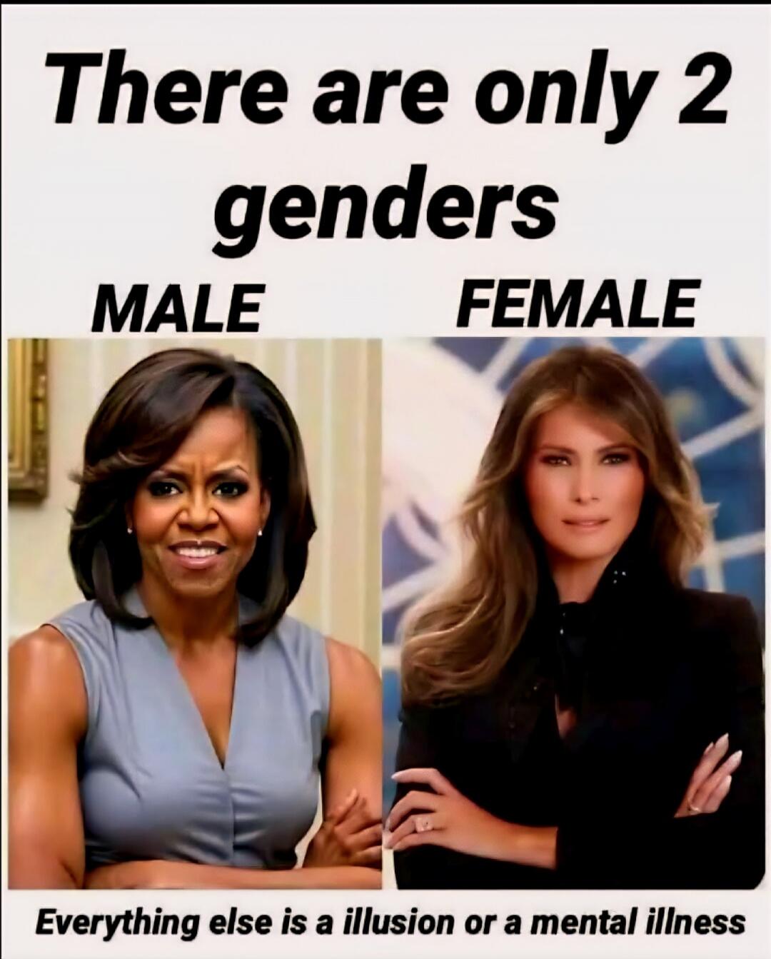 There are only 2 genders MALE FEMALE Everything else is a illusion or a mental illness