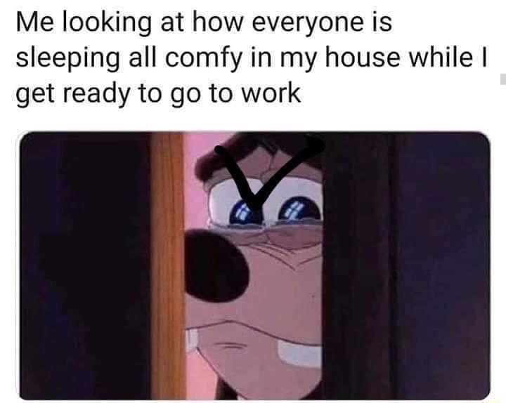 Me looking at how everyone is sleeping all comfy in my house while get ready to go to work