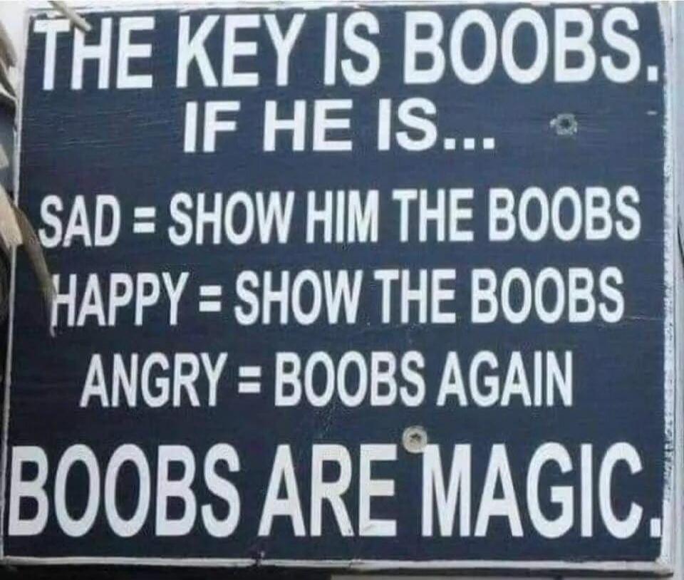 THE KEY IS BOOBS. IF HE IS... SAD = SHOW HIM THE BOOBS HAPPY = SHOW THE BOOBS ANGRY = BOOBS AGAIN BOOBS ARE MAGIC.