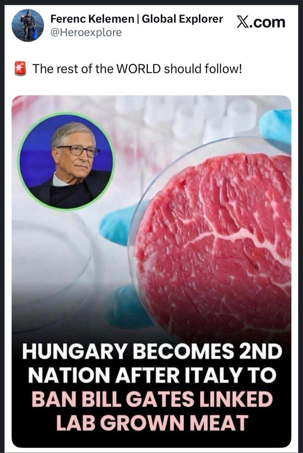 The rest of the WORLD should follow! HUNGARY BECOMES 2ND NATION AFTER ITALY TO BAN BILL GATES LINKED LAB GROWN MEAT
