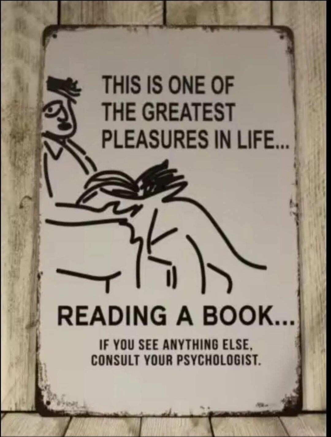 THIS IS ONE OF THE GREATEST PLEASURES IN LIFE... READING A BOOK... IF YOU SEE ANYTHING ELSE, CONSULT YOUR PSYCHOLOGIST.
