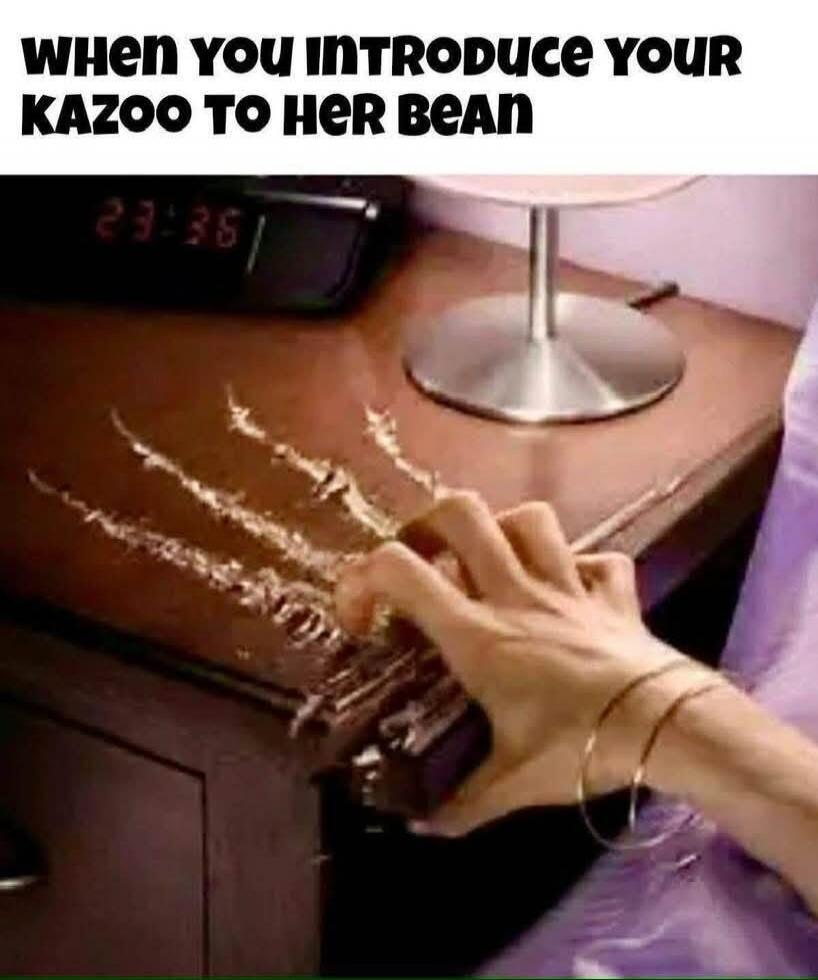 WHEN YOU INTRODUCE YOUR KAZOO TO HER BEAN