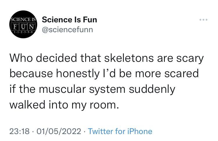 Science Is Fun sciencefunn Who decided that skeletons are scary because honestly Id be more scared if the muscular system suddenly walked into my room 2318 01052022 Twitter for iPhone