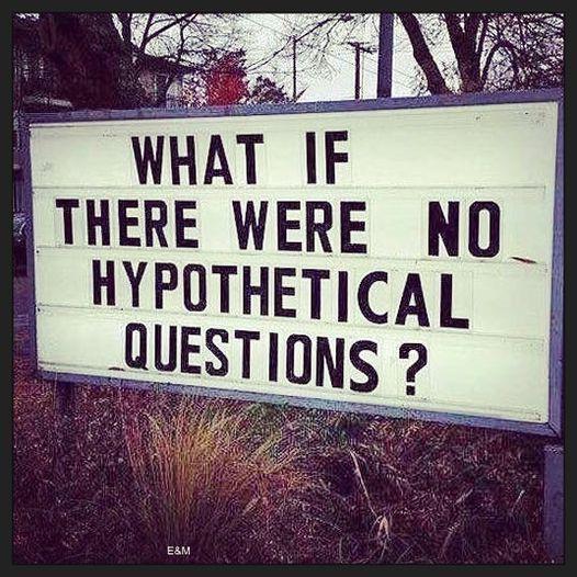 WHAT IF THERE WERE NO _ HYPOTHETICAL __QUESTIONS 7