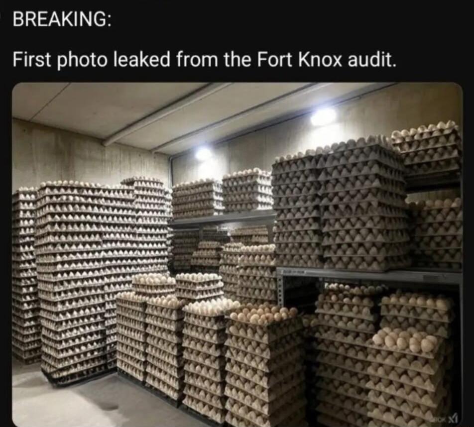 BREAKING First photo leaked from the Fort Knox audit
