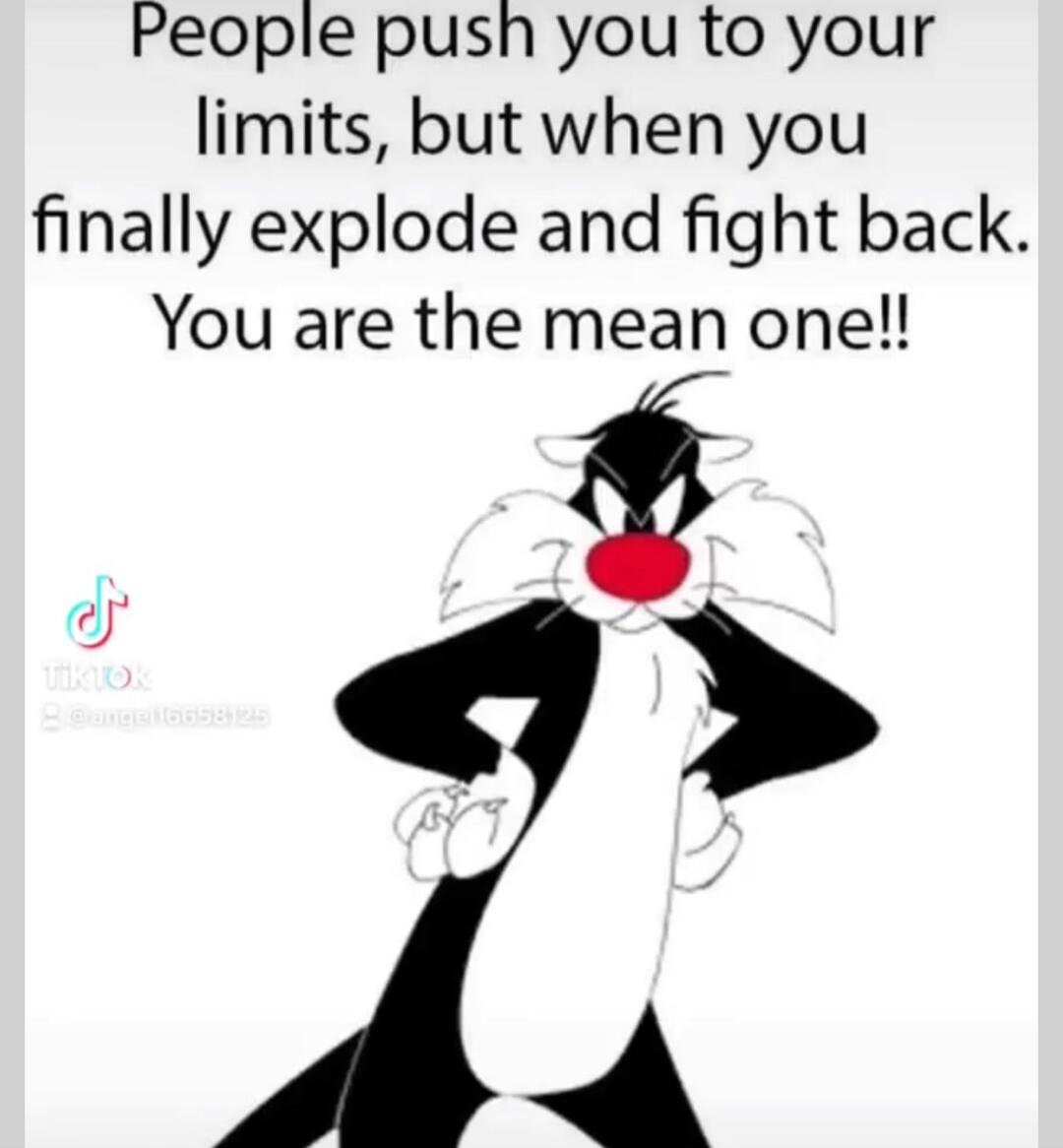 People push you to your limits, but when you finally explode and fight back. You are the mean one!!