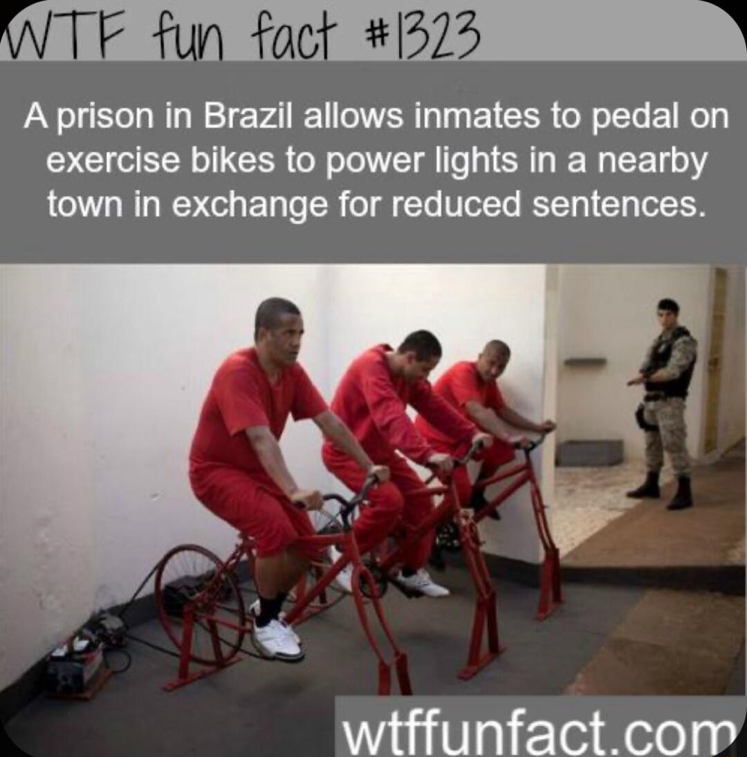 WTF fun fact 1373 N
