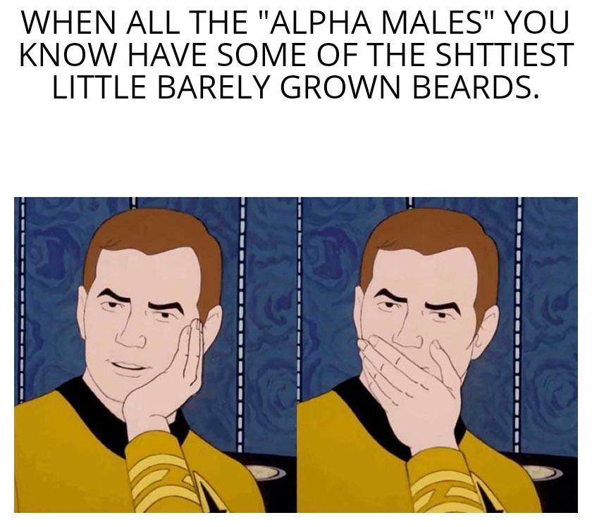 WHEN ALL THE ALPHA MALES YOU KNOW HAVE SOME OF THE SHTTIEST LITTLE BARELY GROWN BEARDS