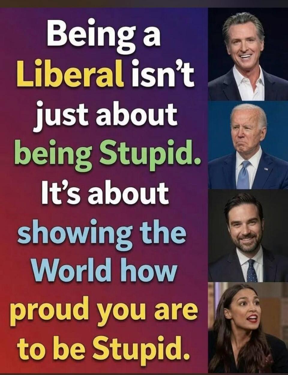 Being a Liberal isn't just about being Stupid. It's about showing the World how proud you are to be Stupid.