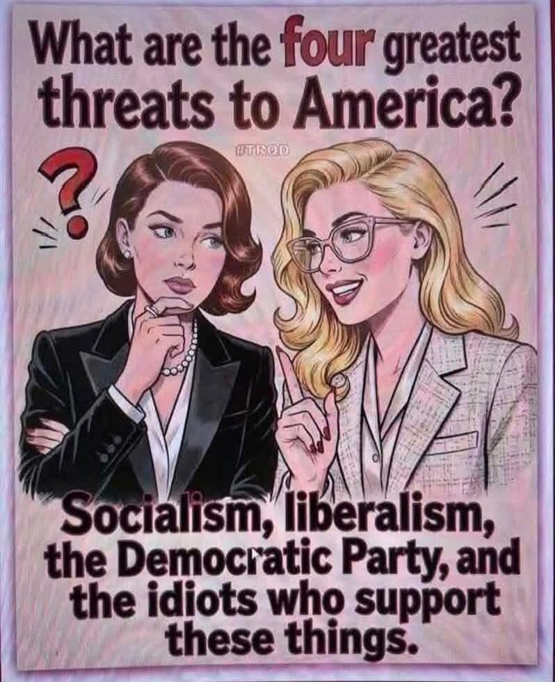 What are the four greatest threats to America? #TROD Socialism, liberalism, the Democratic Party, and the idiots who support these things.