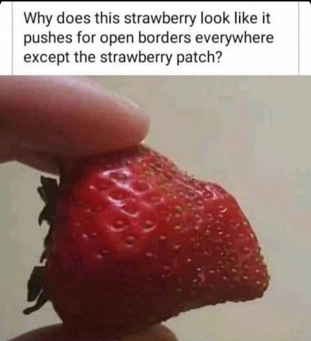 Why does this strawberry look like it pushes for open borders everywhere except the strawberry patch