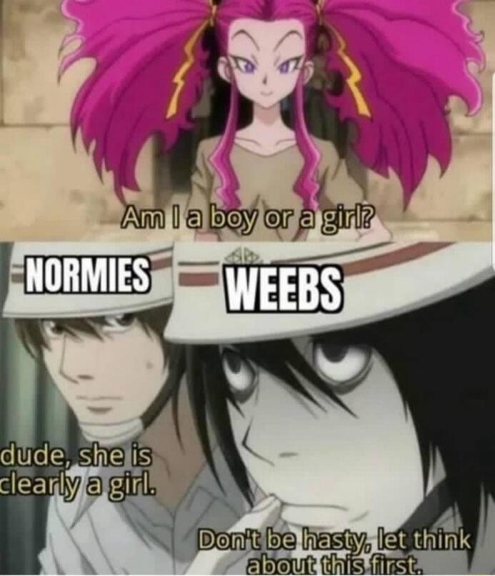 Am I a boy or a girl?
NORMIES   WEEBS
dude, she is clearly a girl.
Don't be hasty, let think about this first.