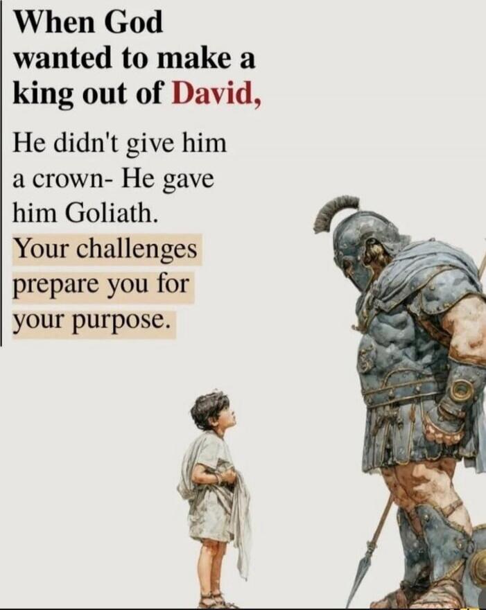 When God wanted to make a king out of David,
He didn't give him a crown- He gave him Goliath.
Your challenges
prepare you for
your purpose.