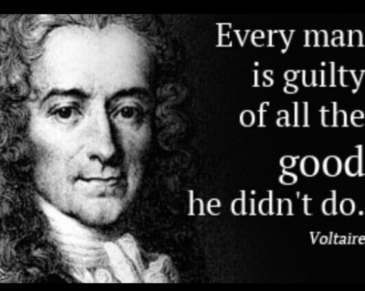 Every man is guilty of all the good he didn't do. Voltaire