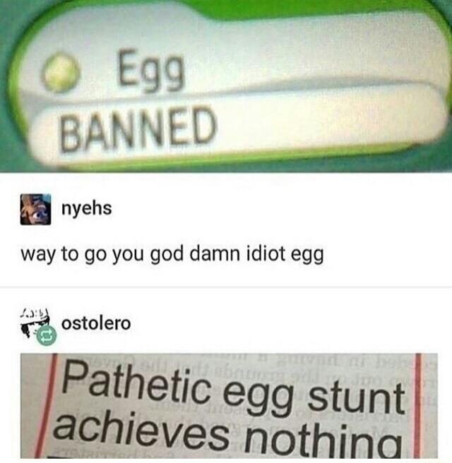 Egg BANNED. nyehs: way to go you god damn idiot egg. ostolero: Pathetic egg stunt achieves nothing.