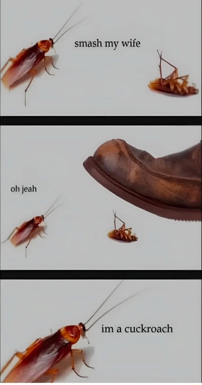 smash my wife
oh yeah
im a cuckroach