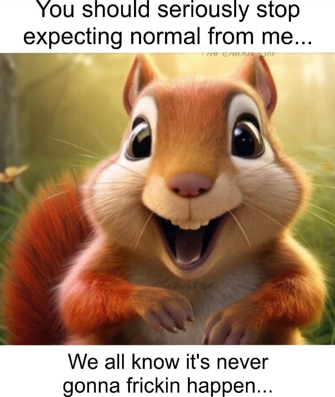 You should seriously stop expecting normal from me... We all know it's never gonna frickin happen...