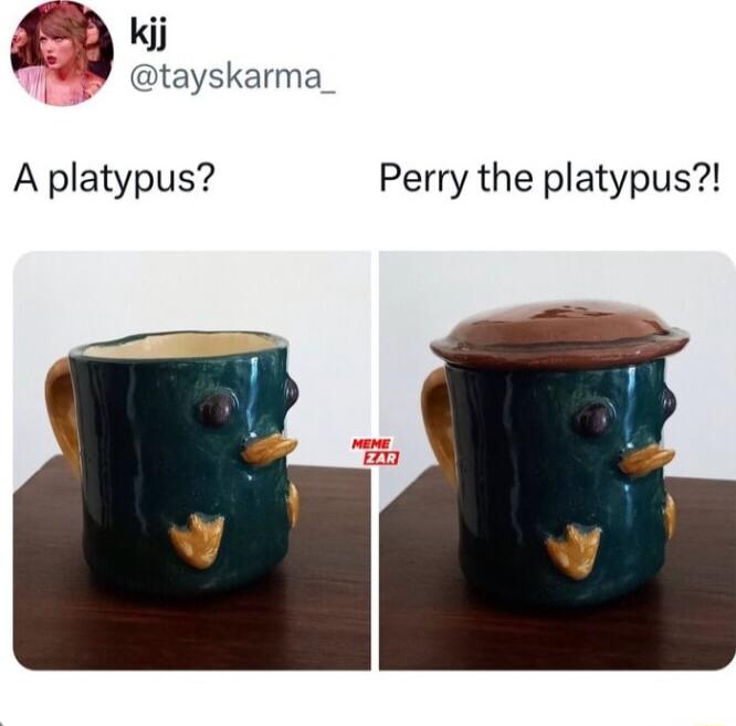 450 i W tayskarma A platypus Perry the platypus
