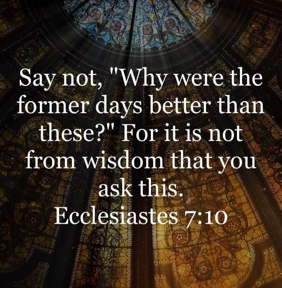 Say not, 