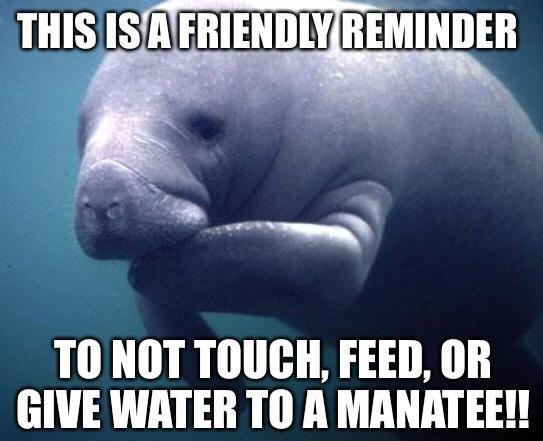 THISISAFRIENDLYREMINDER T0 NOT TOUCH FEED OR GIVE WATER TO A MANATEE