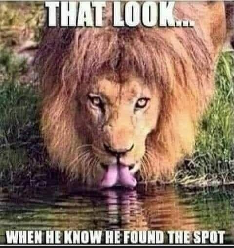 THAT LOOK... WHEN HE KNOW HE FOUND THE SPOT
