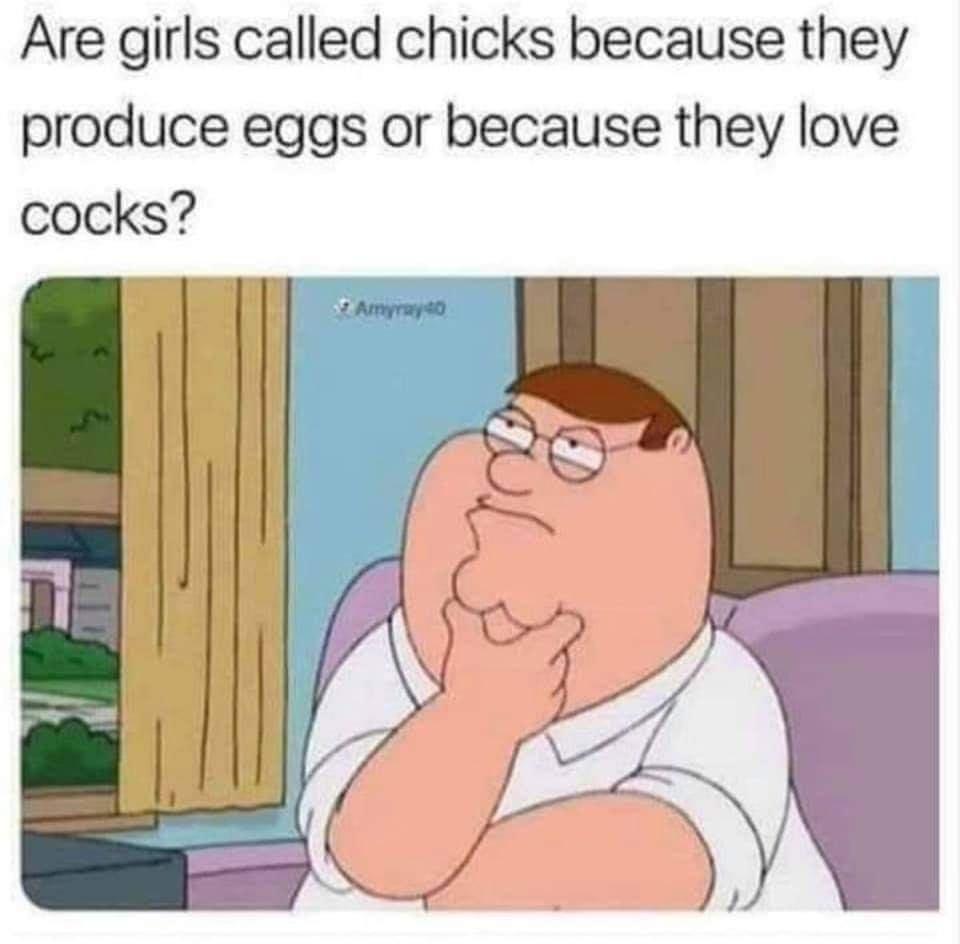 Are girls called chicks because they produce eggs or because they love cocks