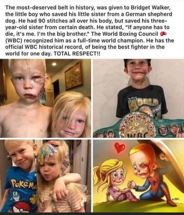 The most-deserved belt in history, was given to Bridget Walker, the little boy who saved his little sister from a German shepherd dog. He had 90 stitches all over his body, but saved his three-year-old sister from certain death. He stated, 