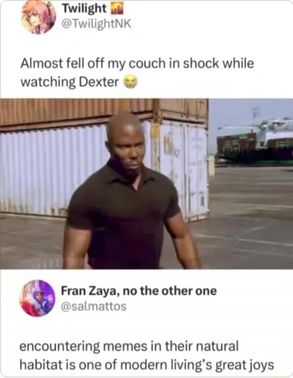 Almost fell off my couch in shock while watching Dexter 😳
encountering memes in their natural habitat is one of modern living's great joys