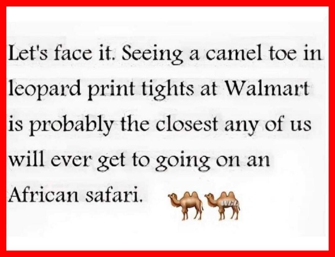 Let's face it. Seeing a camel toe in leopard print tights at Walmart is probably the closest any of us will ever get to going on an African safari.