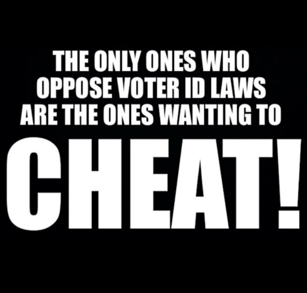 THE ONLY ONES WHO OPPOSE VOTER ID LAWS ARE THE ONES WANTING TO CHEAT!