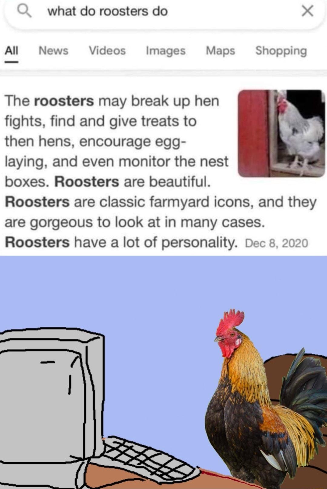 what do roosters do X Al News Videos Images Maps Shopping The roosters may break up hen fights find and give treats to then hens encourage egg laying and even monitor the nest boxes Roosters are beautiful Roosters are classic farmyard icons and they are gorgeous to look at in many cases Roosters have a lot of personality