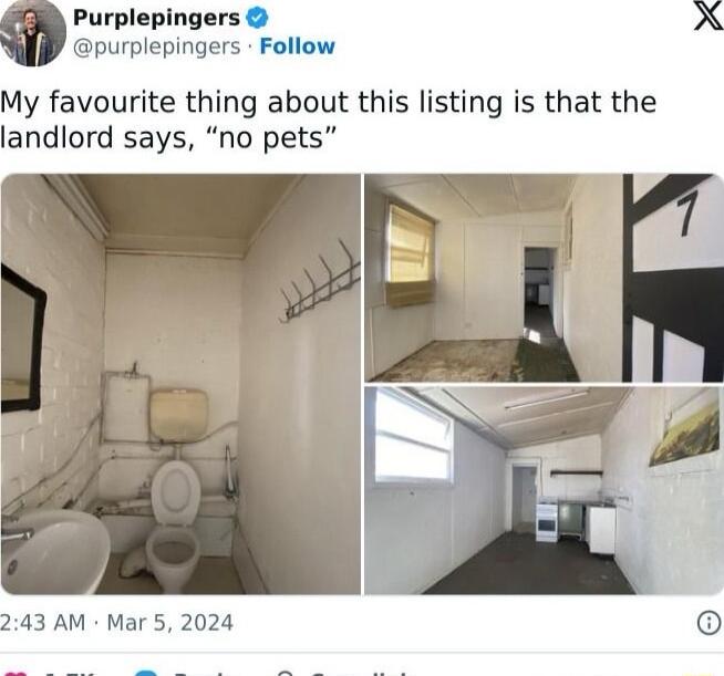 Purplepingers purplepingers Follow My favourite thing about this listing is that ti landlord says no pets 243 AM Mar 5 2024