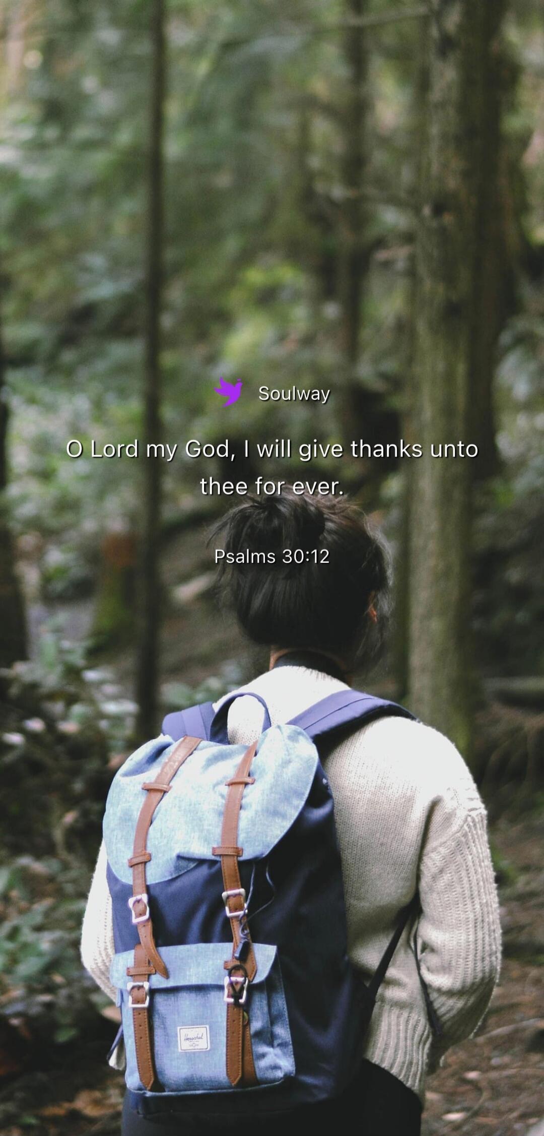Soulway O Lord my God, I will give thanks unto thee for ever. Psalms 30:12