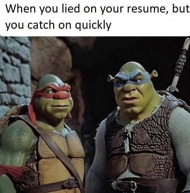 When you lied on your resume bu you catch on quickly Sy i N R
