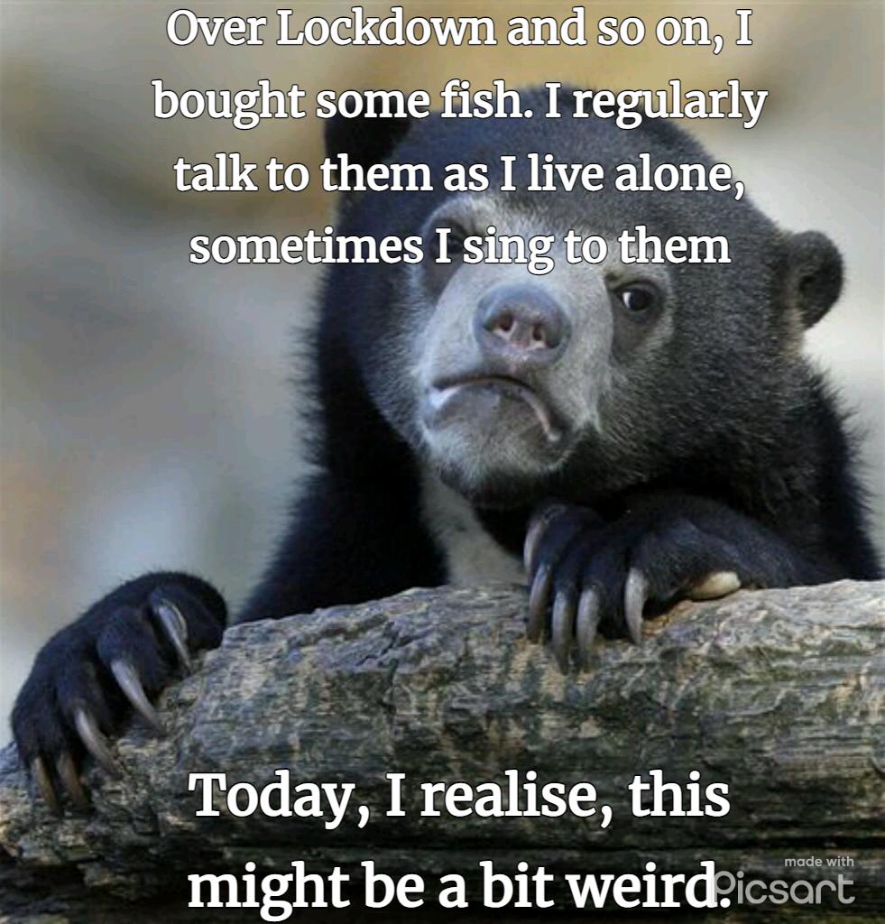 might be a bit WEIIdlcsorl