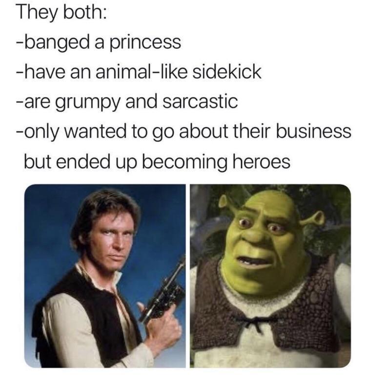 They both banged a princess have an animal like sidekick are grumpy and sarcastic only wanted to go about their business but ended up becoming heroes