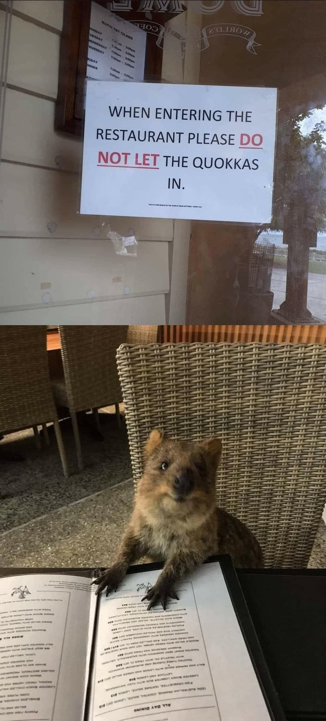 WHEN ENTERING THE RESTAURANT PLEASE NOT LET THE QUOKKAS