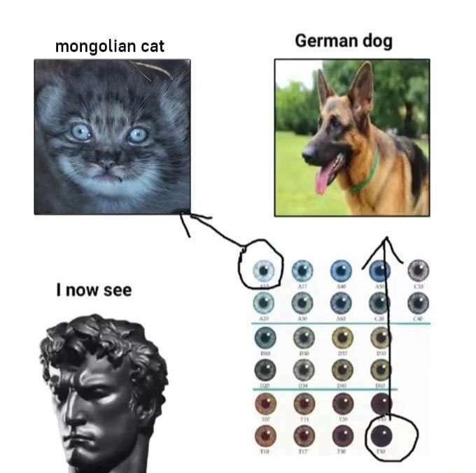 mongolian cat German dog