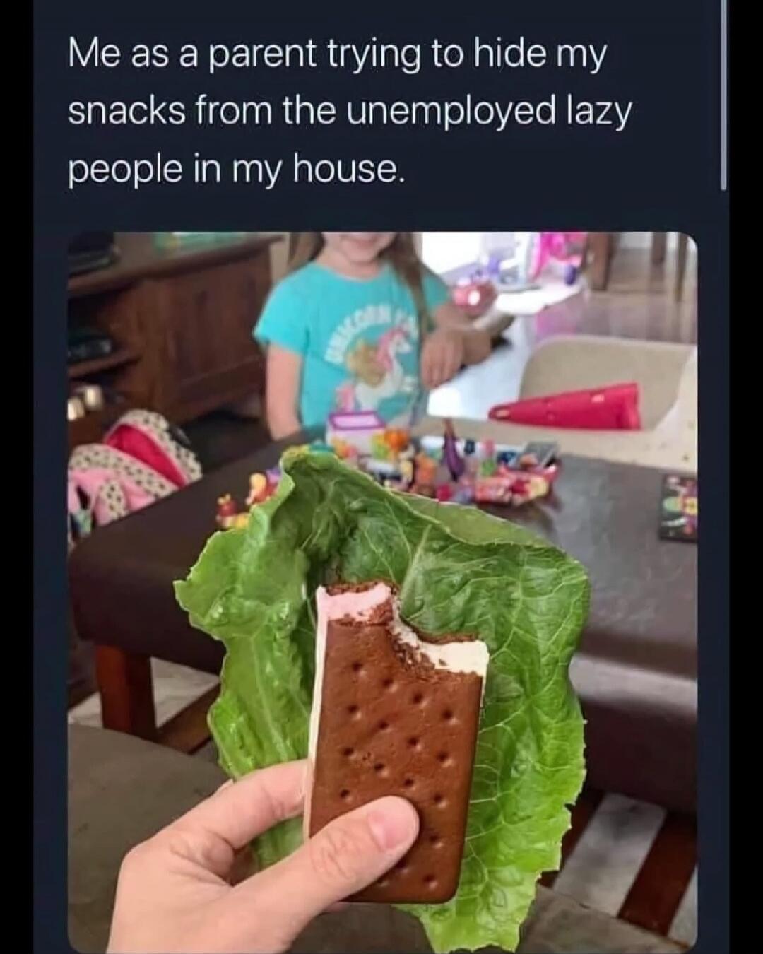 Me as a parent trying to hide my snacks from the unemployed lazy people in my house.