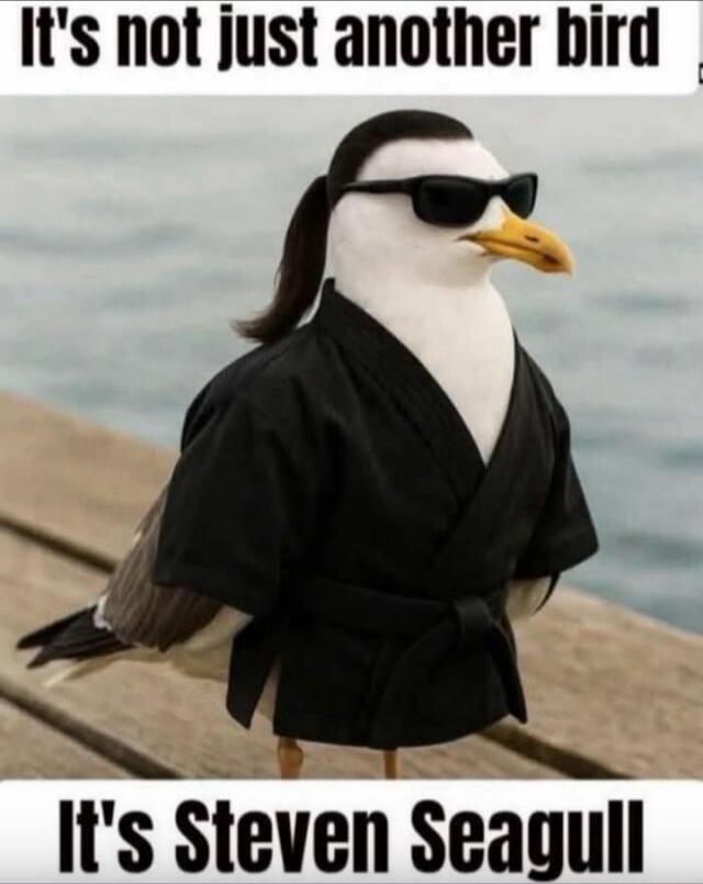 It's not just another bird
It's Steven Seagull