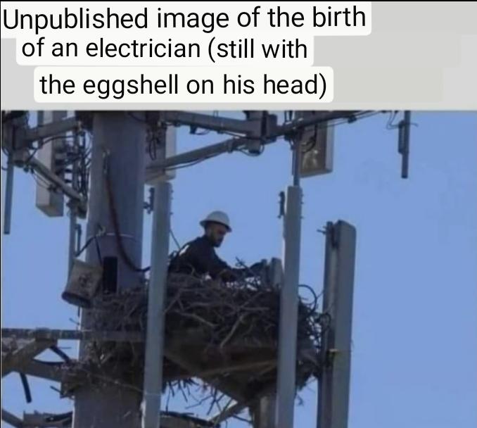 Unpublished image of the birth of an electrician still with the eggshell on his head