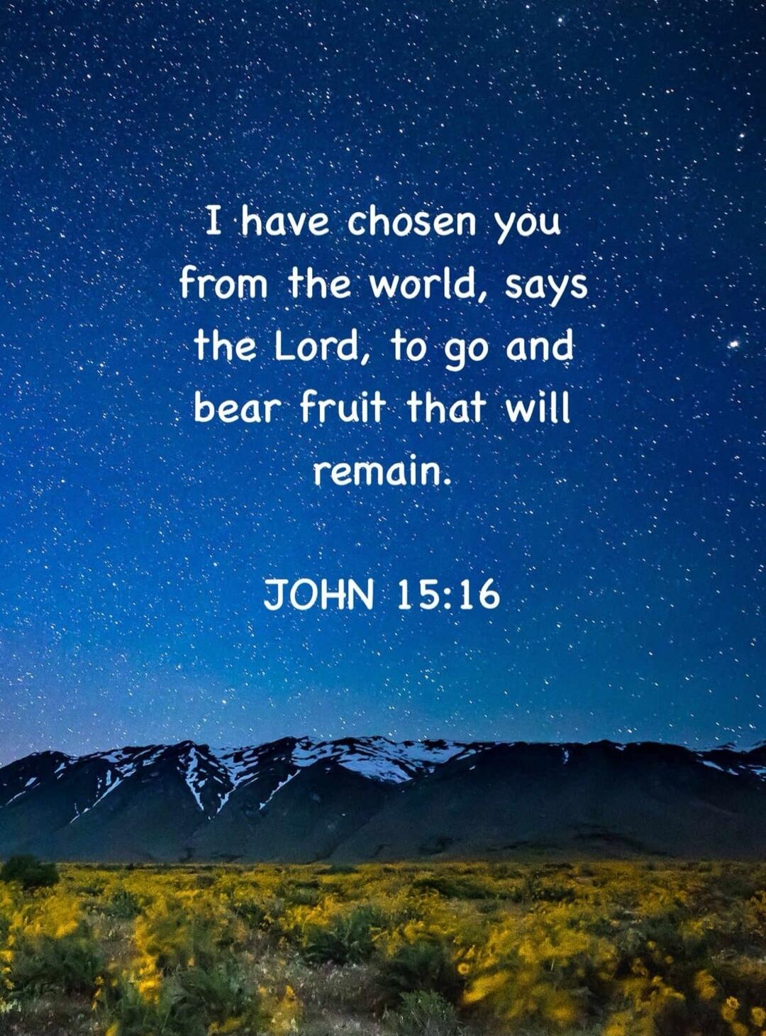 I have chosen you from the world, says the Lord, to go and bear fruit that will remain.

JOHN 15:16