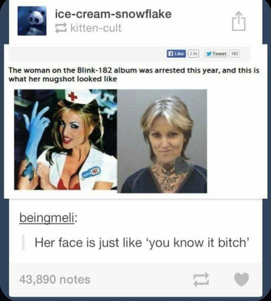 ice cream snowflake The woman on the Blink 182 album was arrested this year and this Is what her mugshot looked like beingmeli Her face is just like you know it bitch