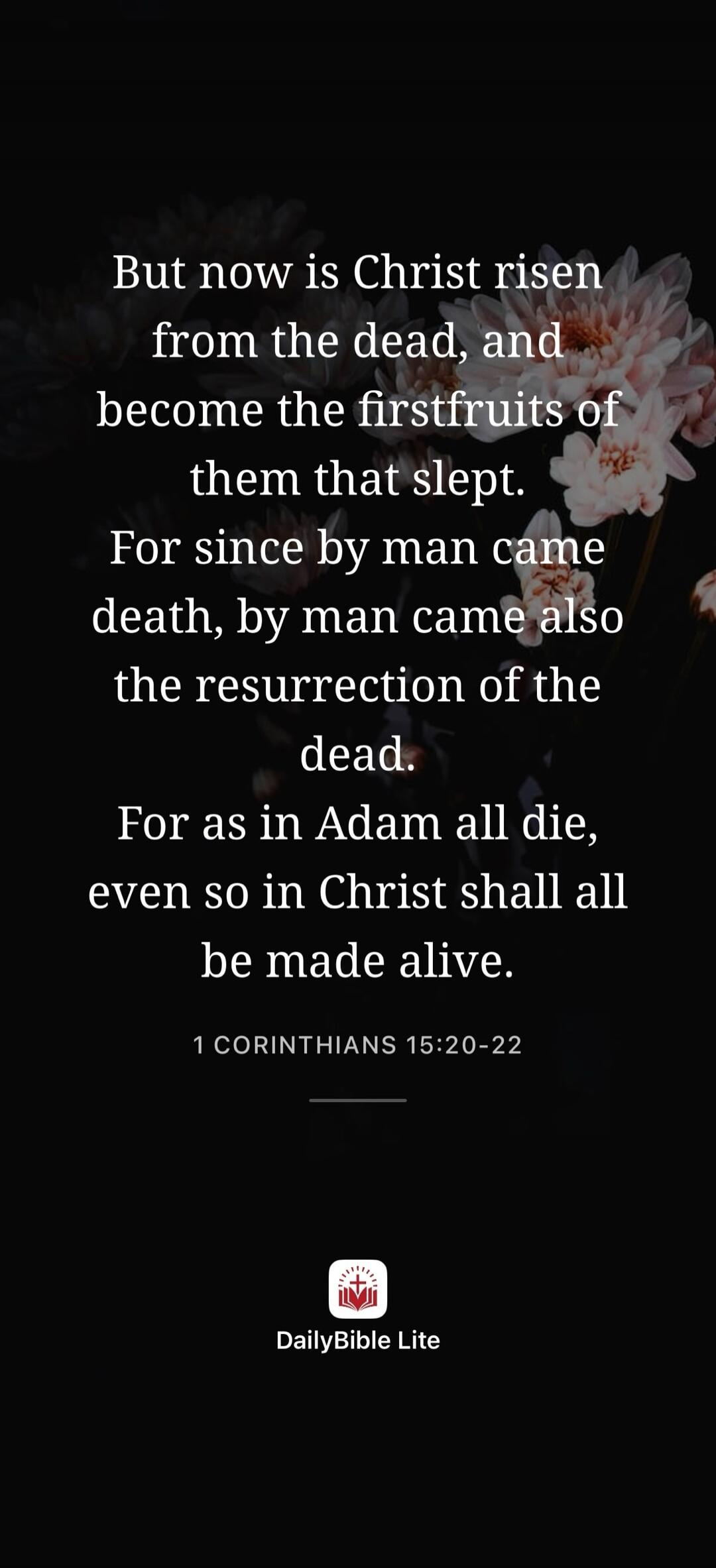 But now is Christ risen from the dead, and become the firstfruits of them that slept. For since by man came death, by man came also the resurrection of the dead. For as in Adam all die, even so in Christ shall all be made alive. 1 CORINTHIANS 15:20-22. DailyBible Lite.