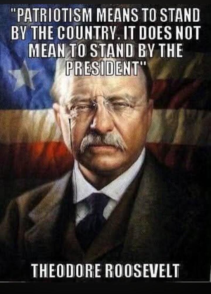 PATRIOTISM MEANS TO STAND BY THE COUNTRY. IT DOES NOT MEAN TO STAND BY THE PRESIDENT. THEODORE ROOSEVELT