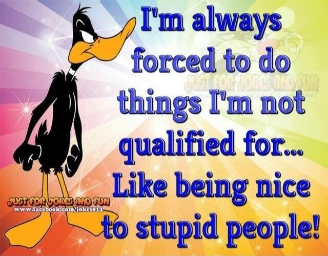 I'm always forced to do things I'm not qualified for... Like being nice to stupid people!