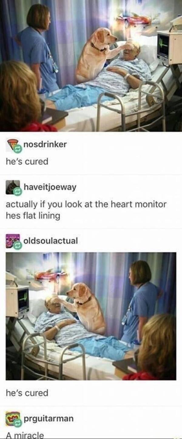 hes cured g haveitjoeway actually if you look at the heart monitor hes flat lining oldsoulaetual hes cured 5 prguitarman A miracle