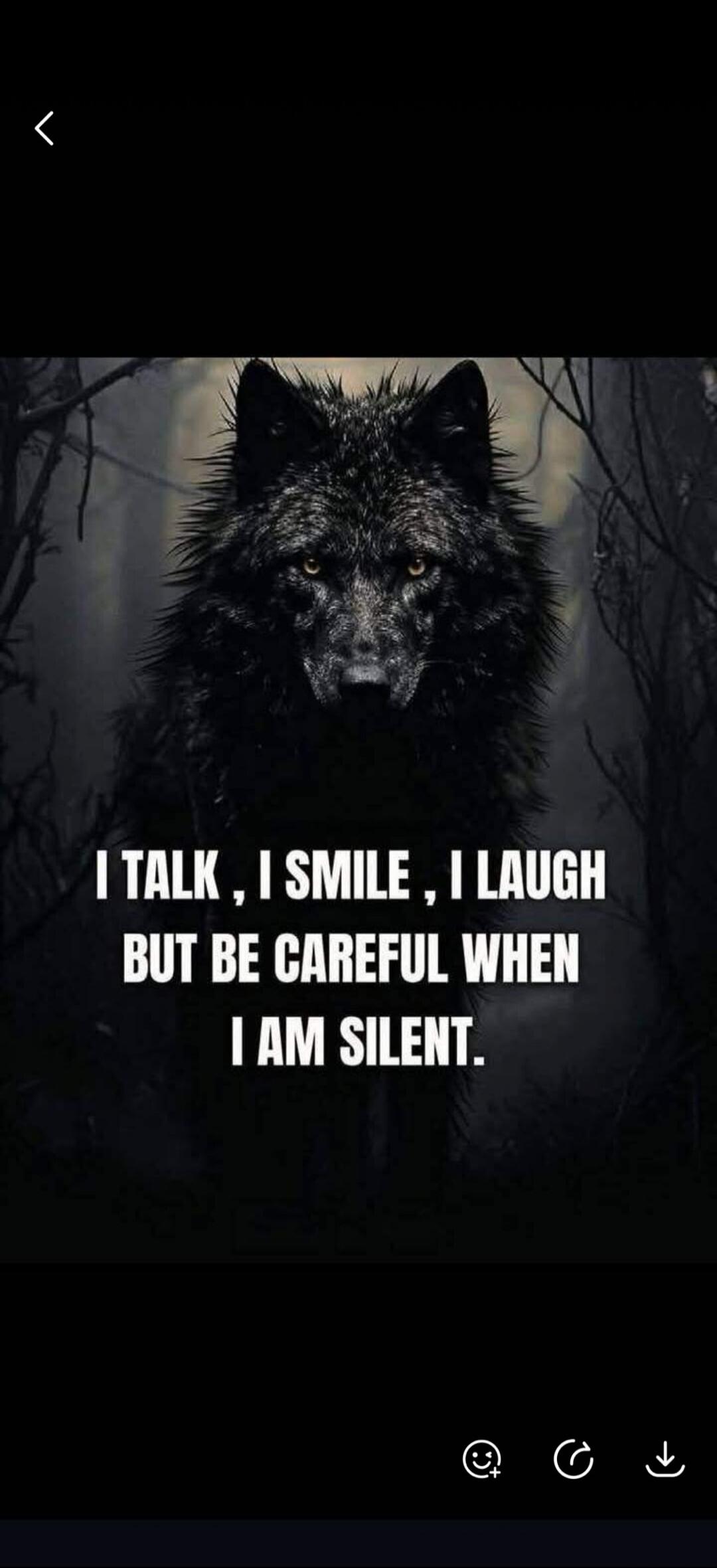 I TALK, I SMILE, I LAUGH BUT BE CAREFUL WHEN I AM SILENT.