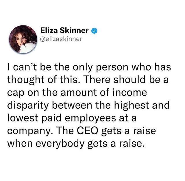 Eliza Skinner elizaskinner cant be the only person who has thought of this There should be a cap on the amount of income disparity between the highest and lowest paid employees at a company The CEO gets a raise when everybody gets a raise